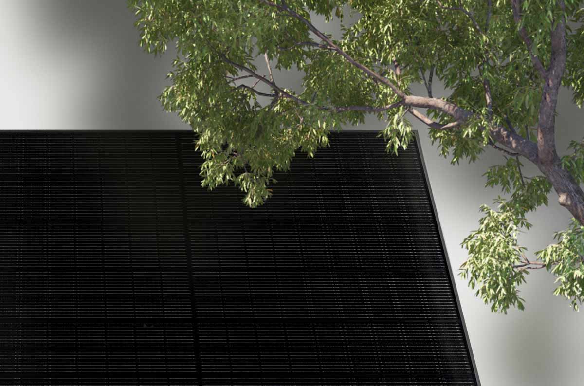 Solarmodul Ampere.SolarPro 445 BG mit Baum im Anschnitt zeigt Teilverschattung